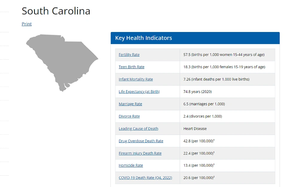 A screenshot showing a visualization map of the South Carolina's key health indicators such as fertility rate, teen birth rate, infant mortality rate, life expectancy (at birth), marriage and divorce rate, leading cause of death, and others.