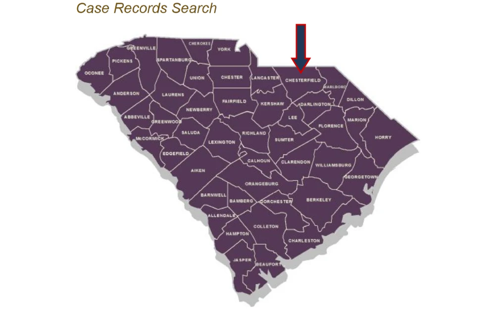 A screenshot from the South Carolina Supreme Court featuring a map with various counties marked in purple, labeled with their names, designed to navigate through case records.