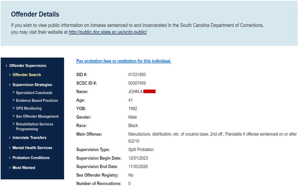 A screenshot of an offender's details from the South Carolina Department of Probation, Parole and Pardon Services, showing information like the individual's name, age, birth year, gender, race, offense, and probation supervision dates without revealing the state or that it is a probation search system.